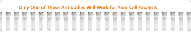 Only One of These Antibodies Will Work for Your Cell Analysis. We Take the Guesswork Out of Finding the Right One.